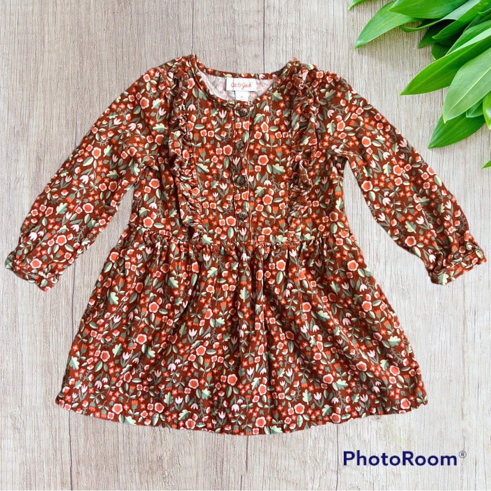 Fall themed dress. Size 3T